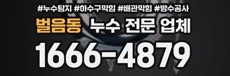 벌음동 누수 전문 업체