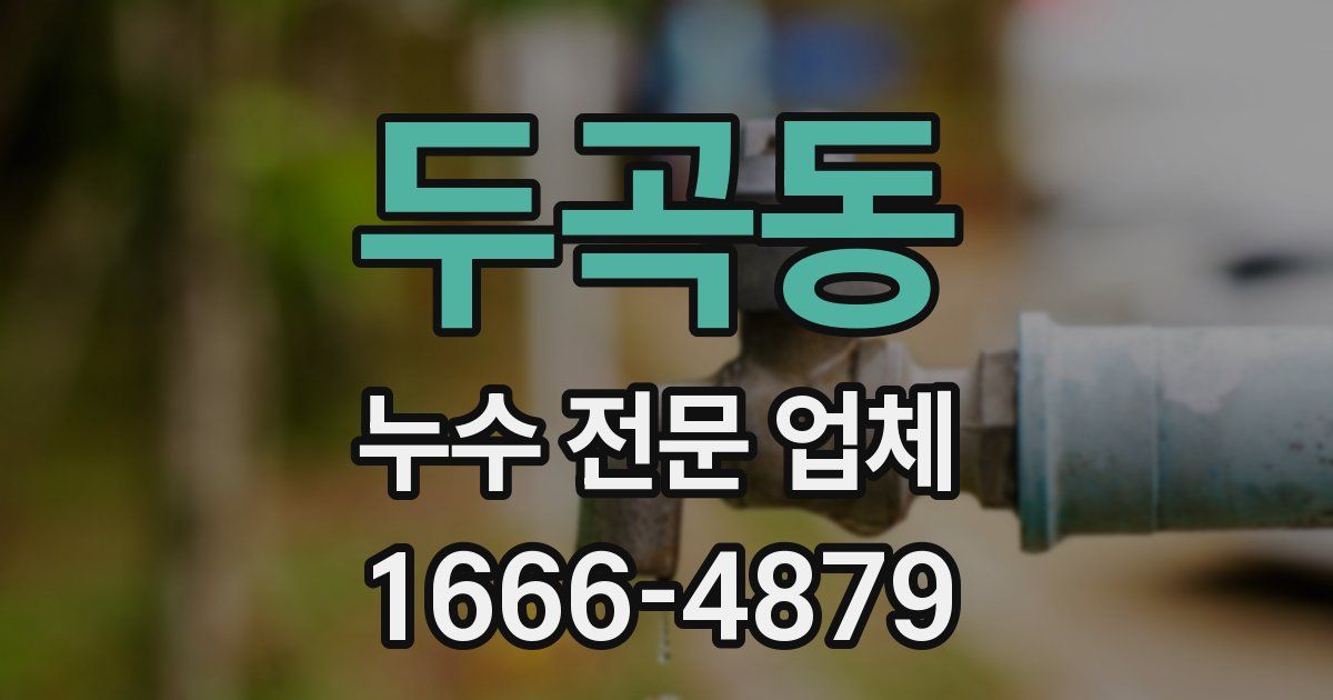 두곡동 누수 전문 업체
