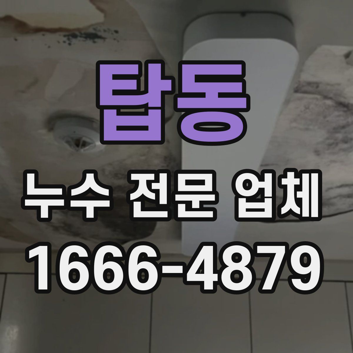 탑동 누수 전문 업체
