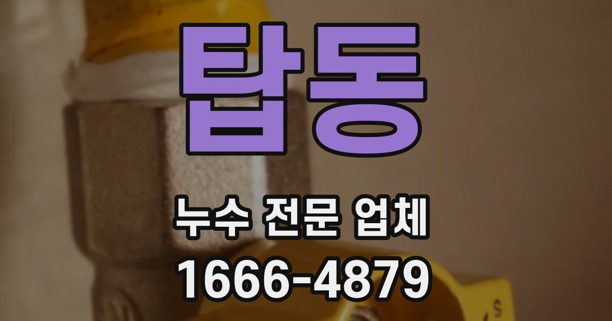 탑동 누수 전문 업체