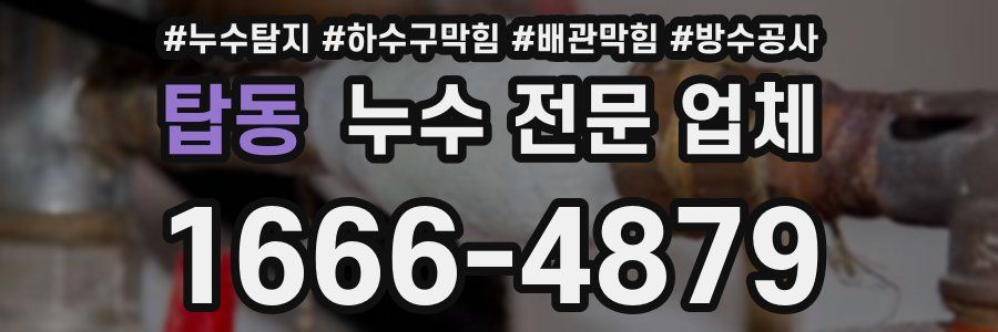 탑동 누수 전문 업체