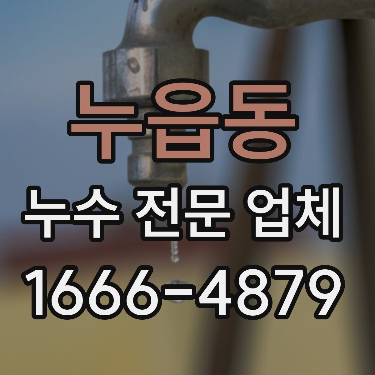 누읍동 누수 전문 업체