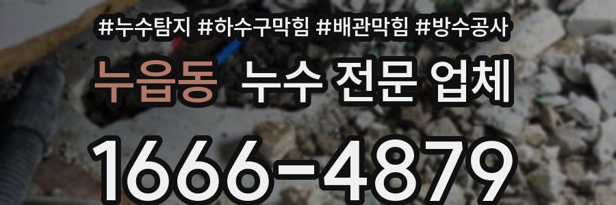 누읍동 누수 전문 업체