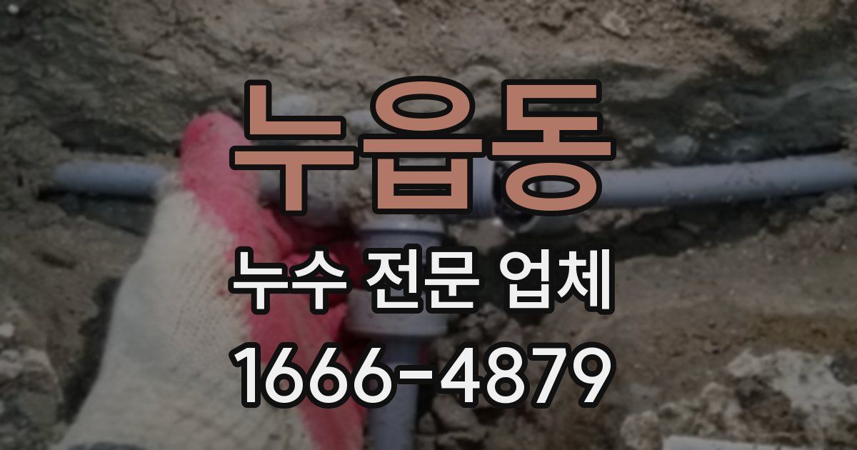 누읍동 누수 전문 업체