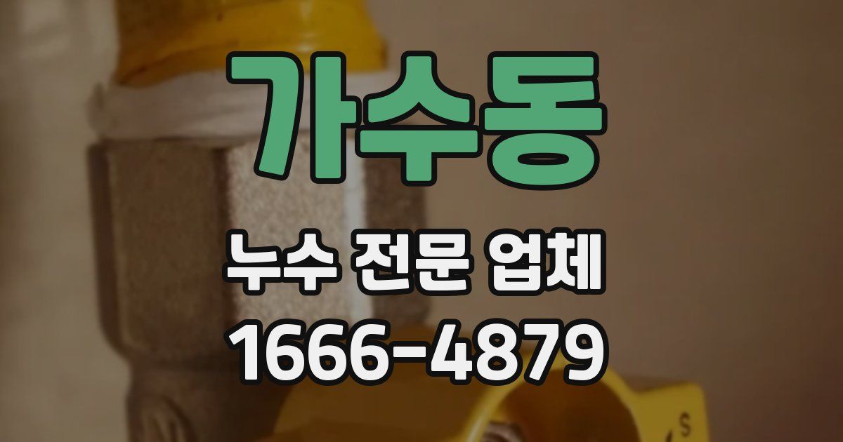 가수동 누수 전문 업체