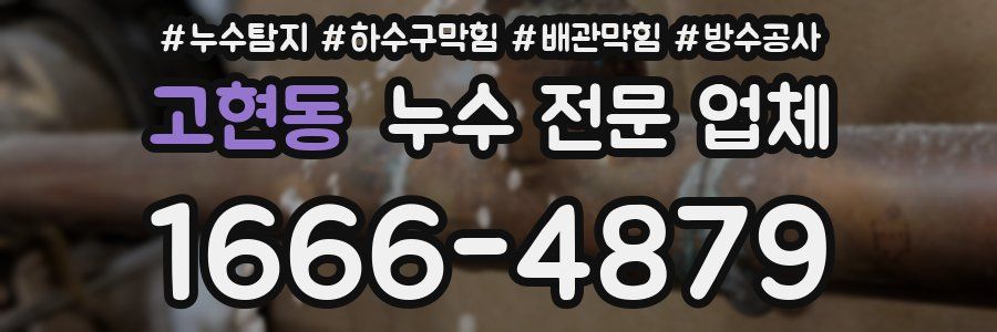 고현동 누수 전문 업체