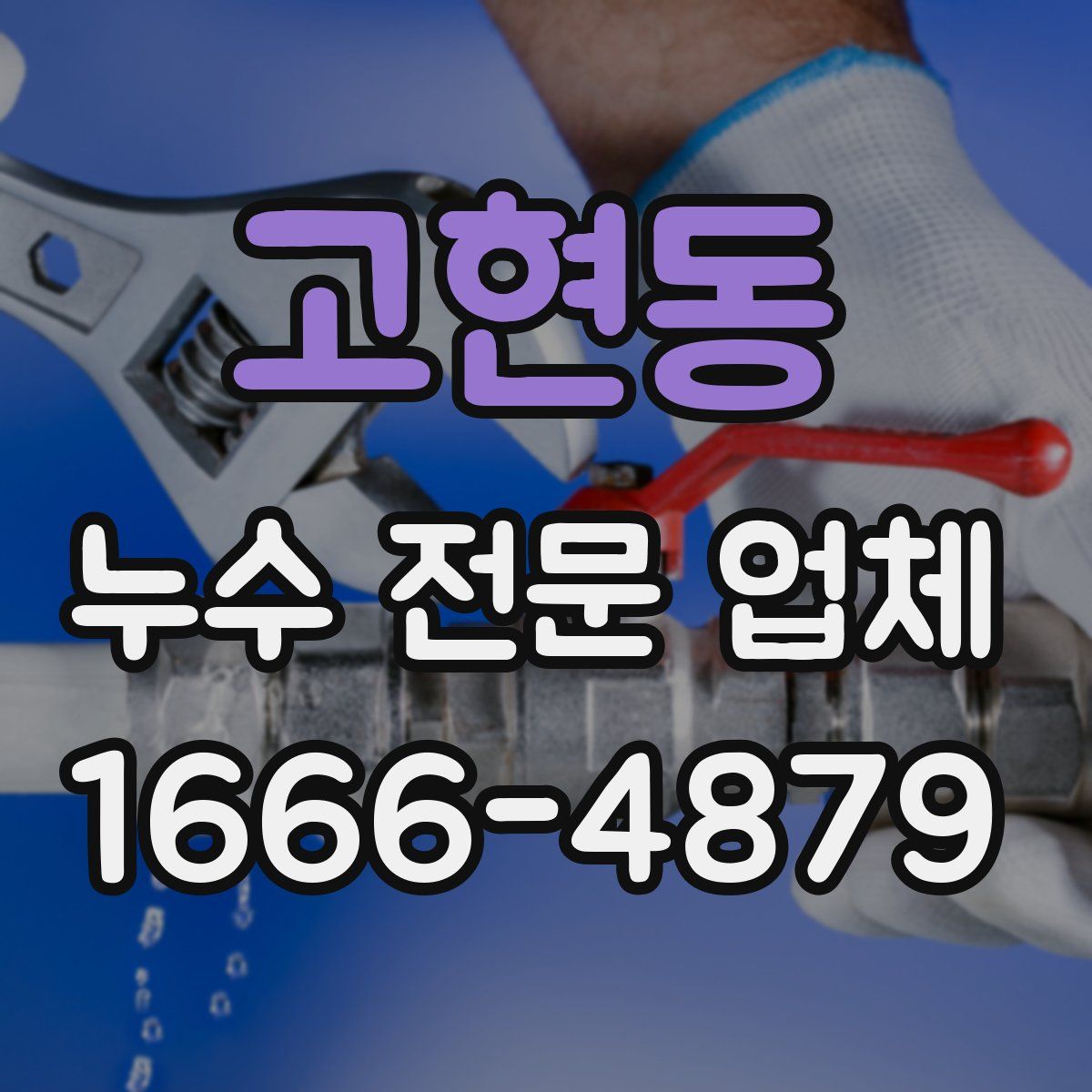 고현동 누수 전문 업체