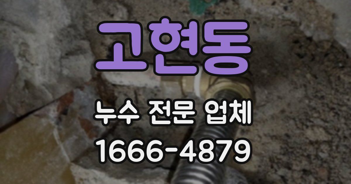 고현동 누수 전문 업체