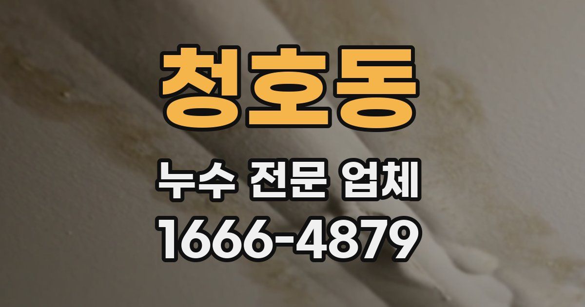 청호동 누수 전문 업체
