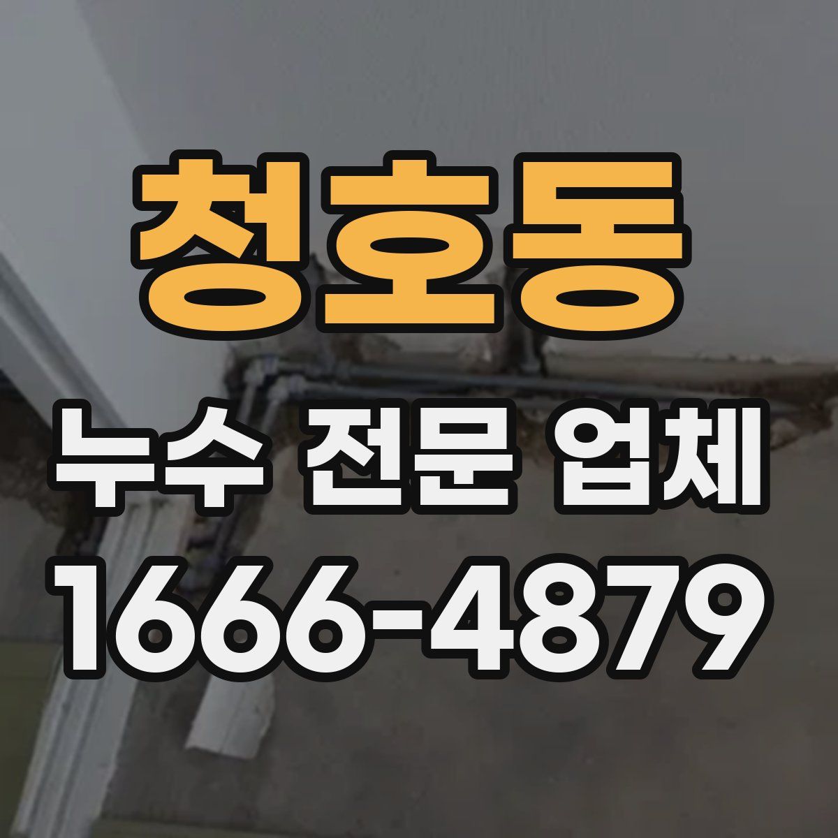청호동 누수 전문 업체