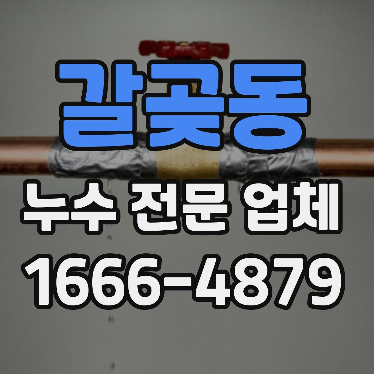 갈곶동 누수 전문 업체