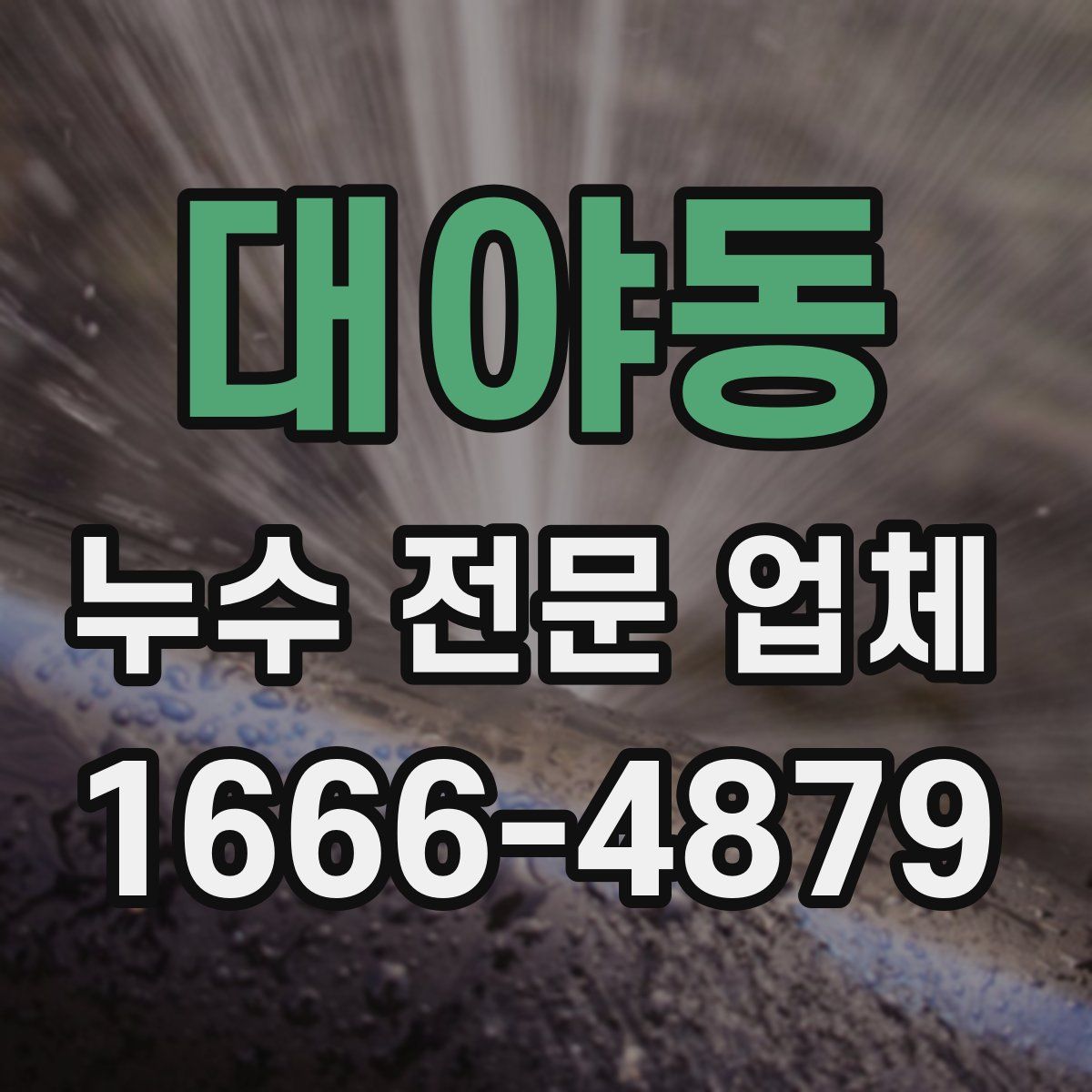 대야동 누수 전문 업체