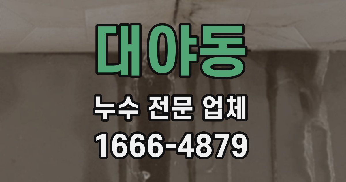 대야동 누수 전문 업체