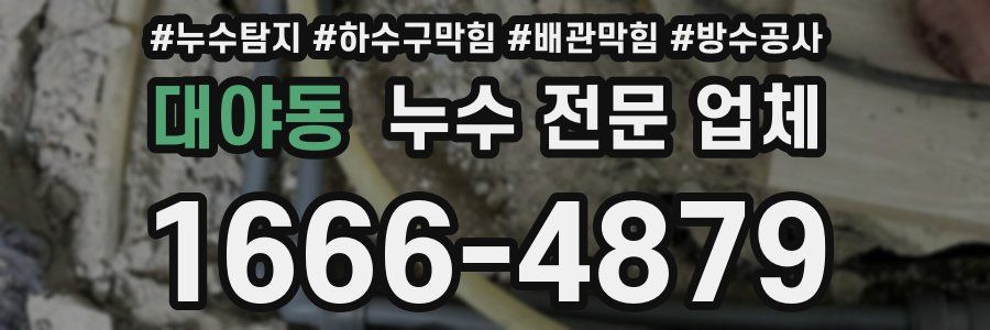 대야동 누수 전문 업체