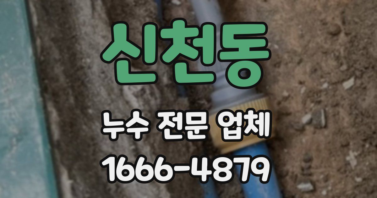 신천동 누수 전문 업체