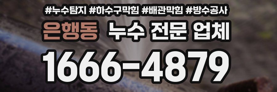 은행동 누수 전문 업체