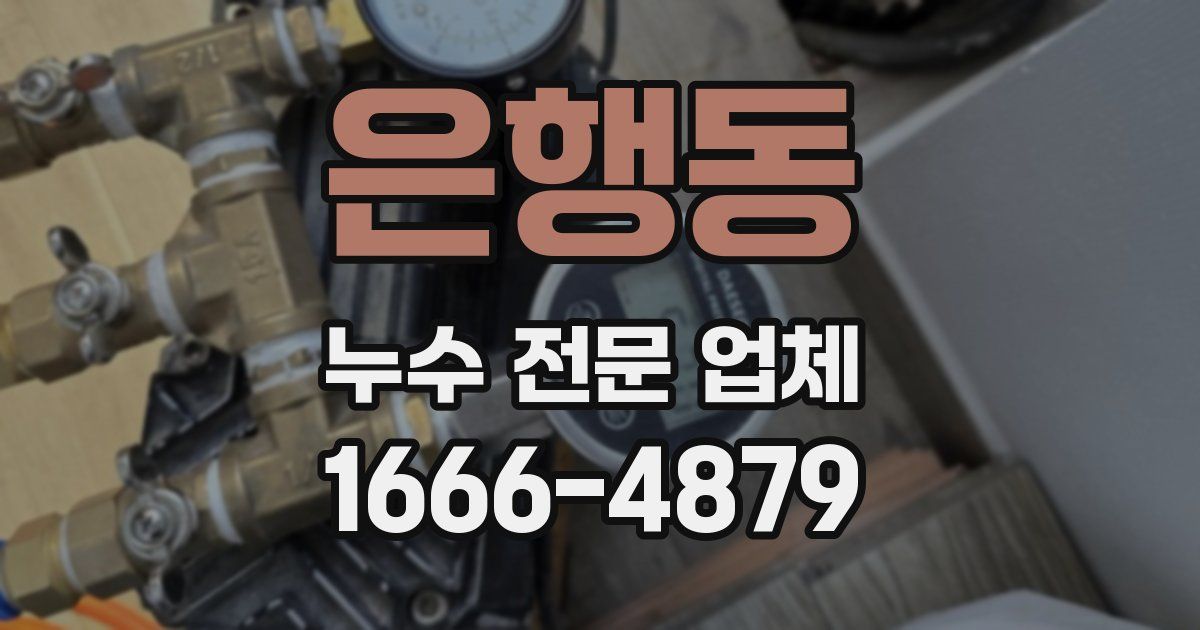 은행동 누수 전문 업체