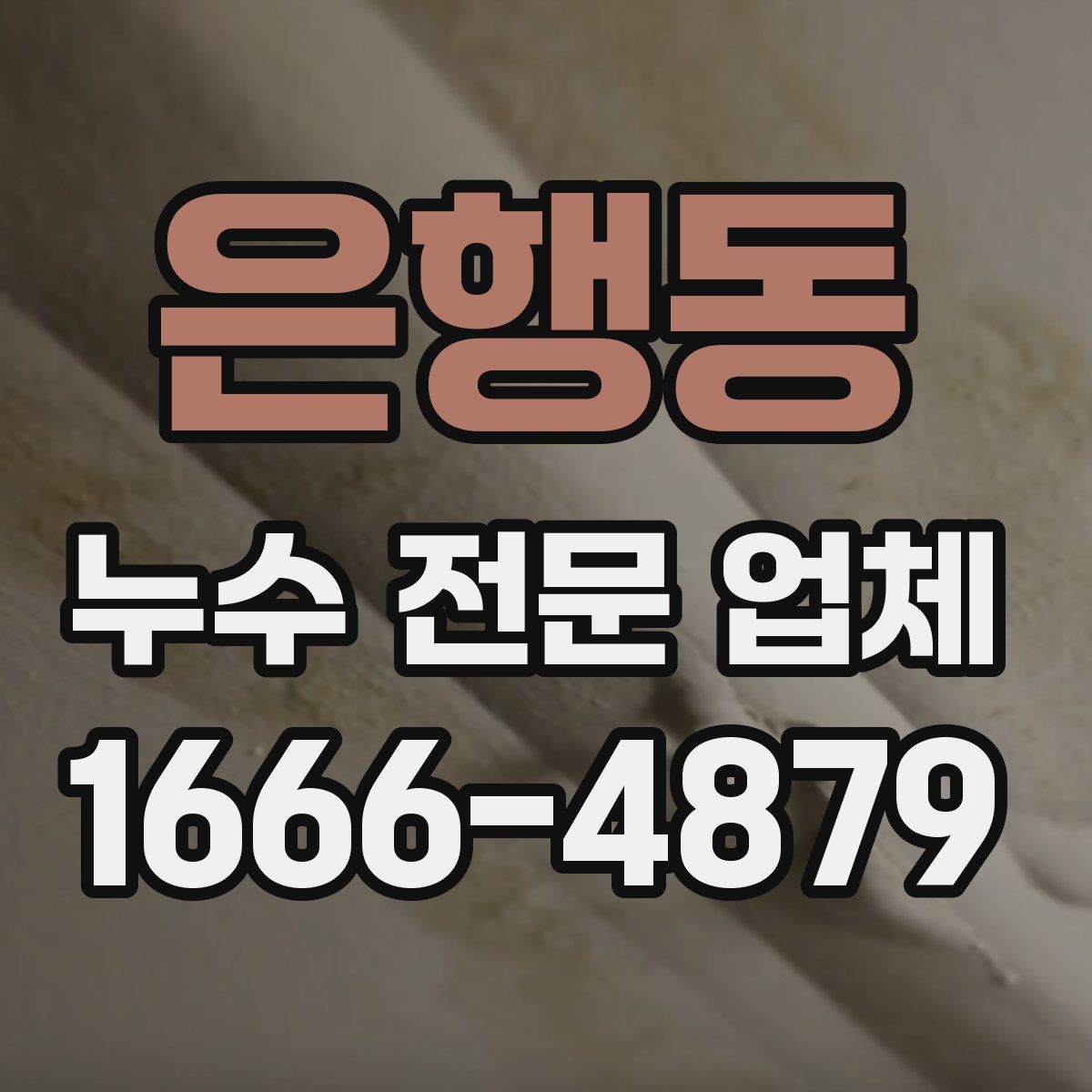은행동 누수 전문 업체
