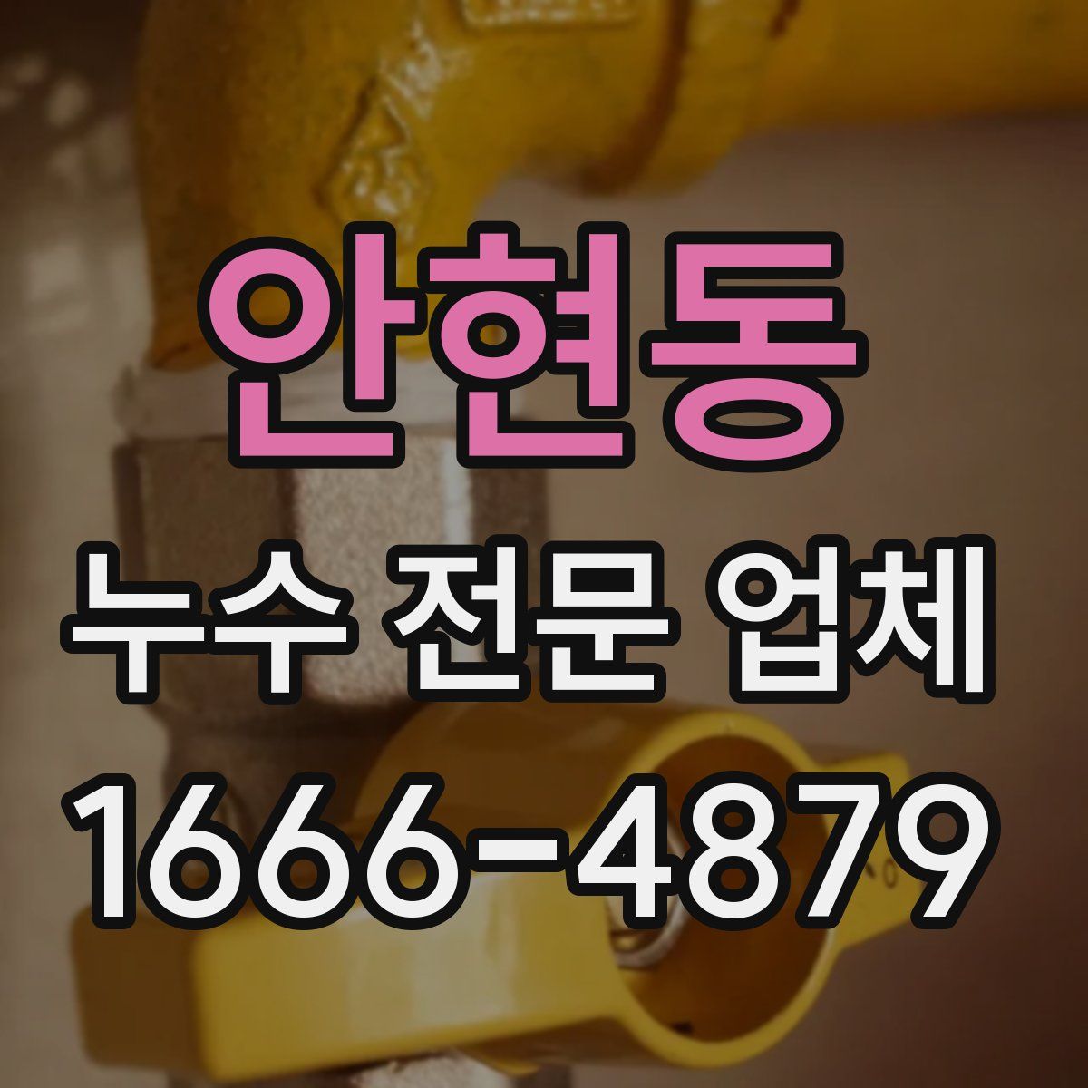 안현동 누수 전문 업체