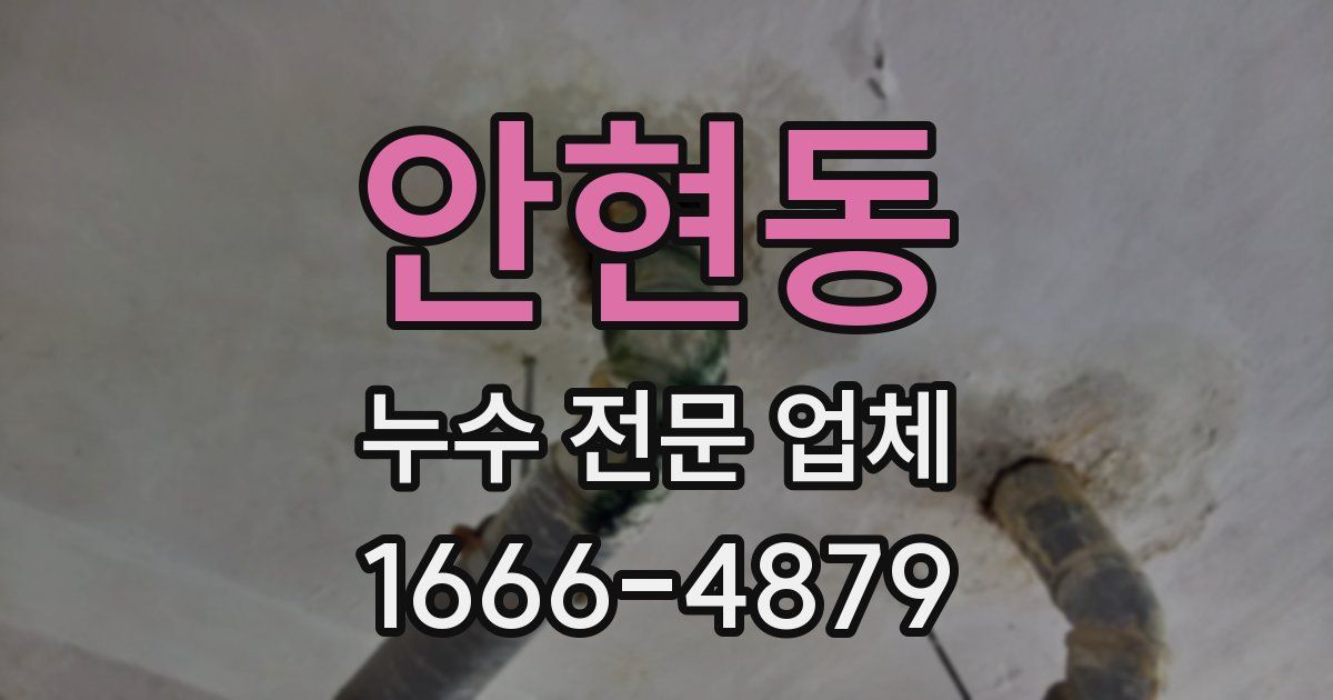 안현동 누수 전문 업체