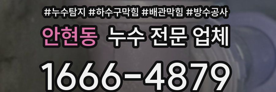 안현동 누수 전문 업체