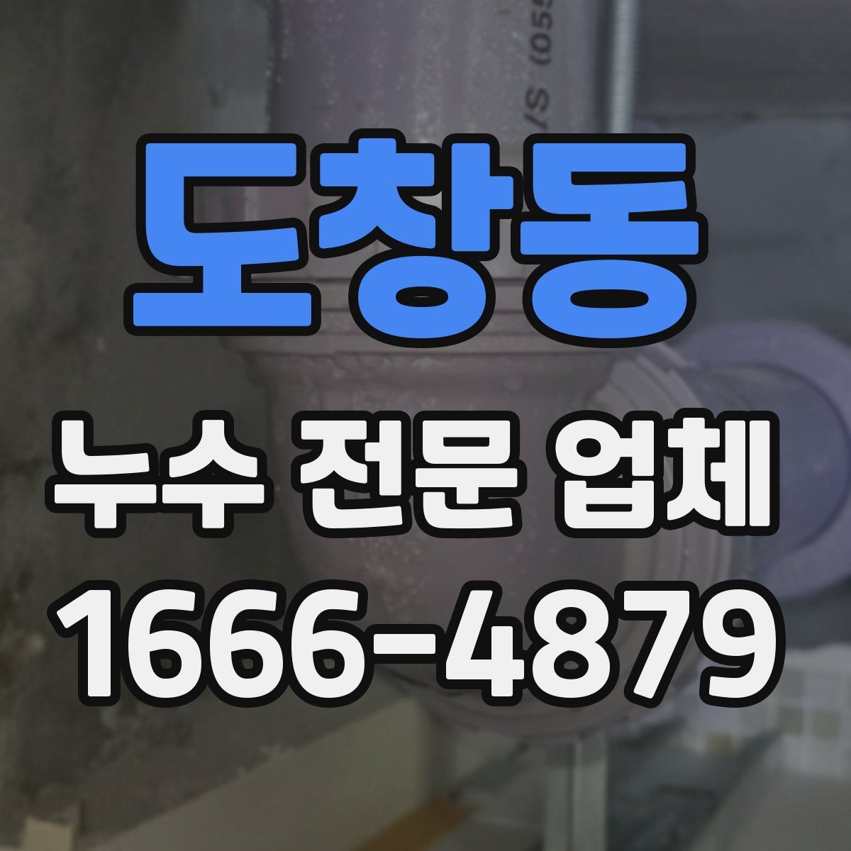 도창동 누수 전문 업체