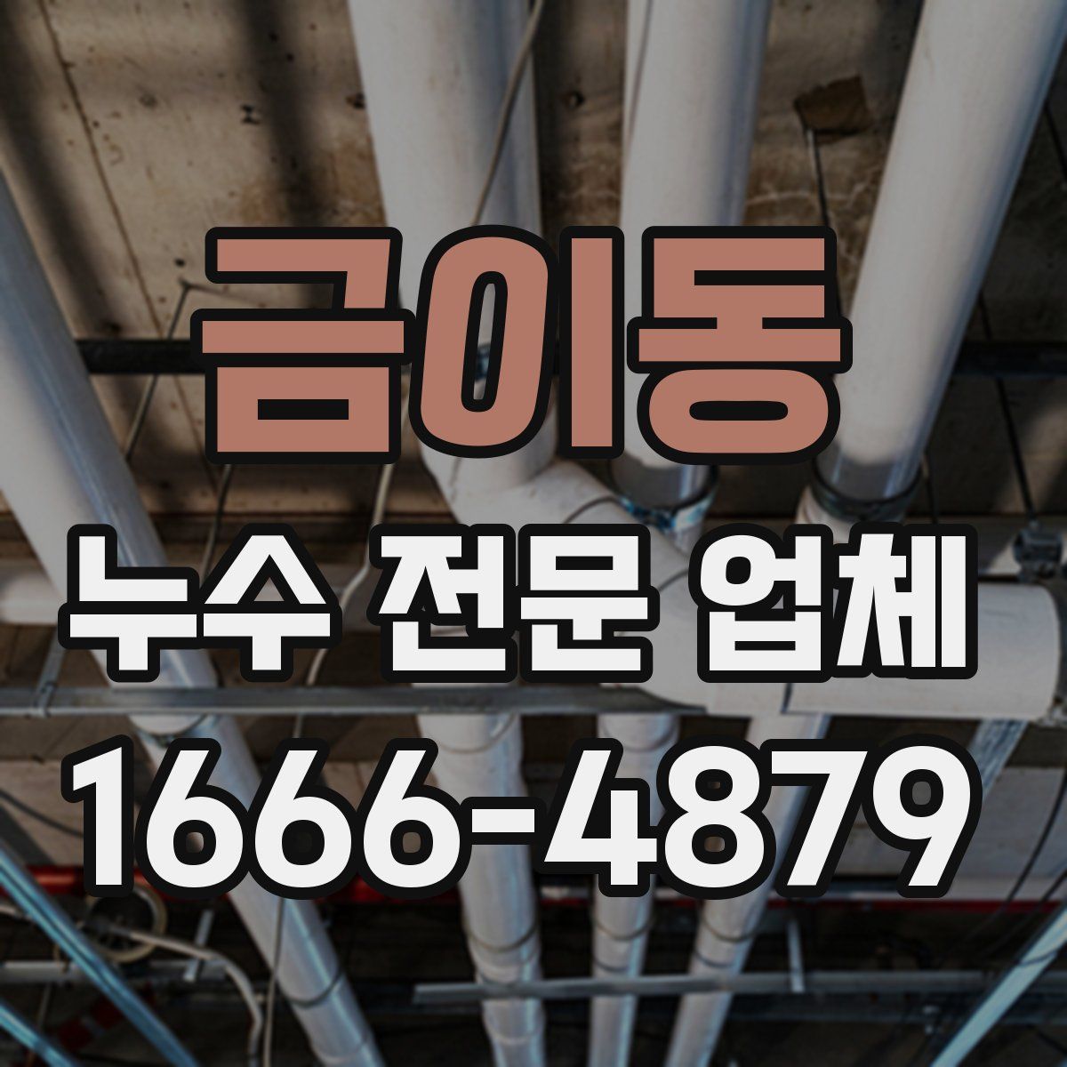 금이동 누수 전문 업체