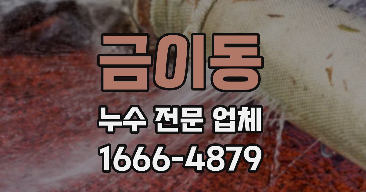 금이동 누수 전문 업체