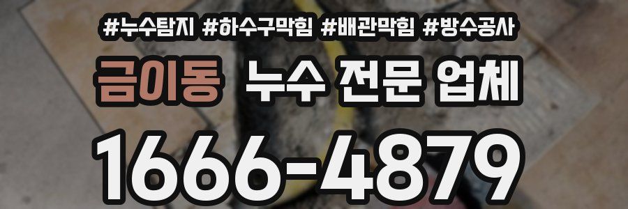 금이동 누수 전문 업체