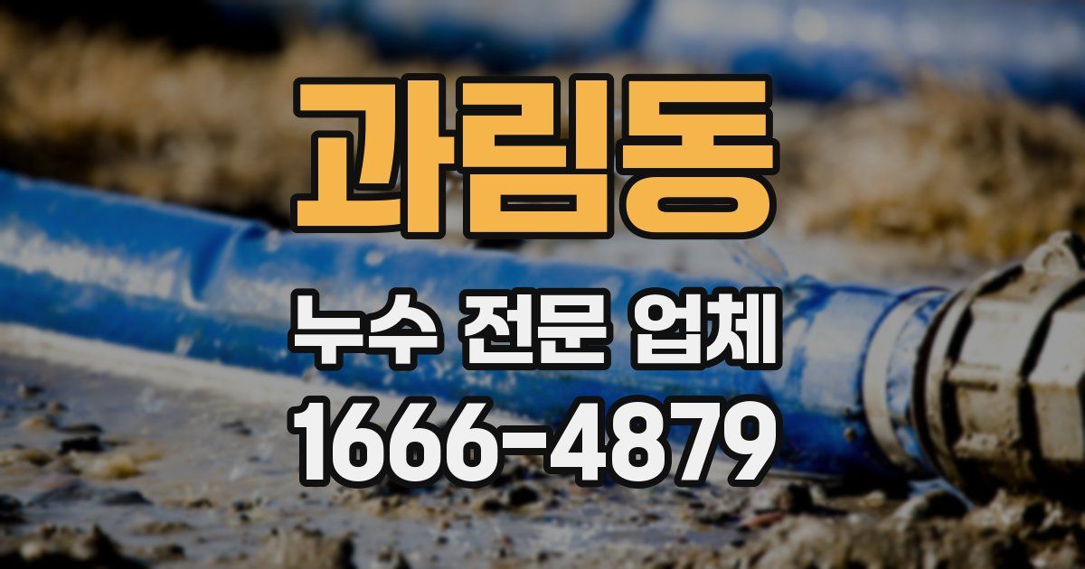 과림동 누수 전문 업체