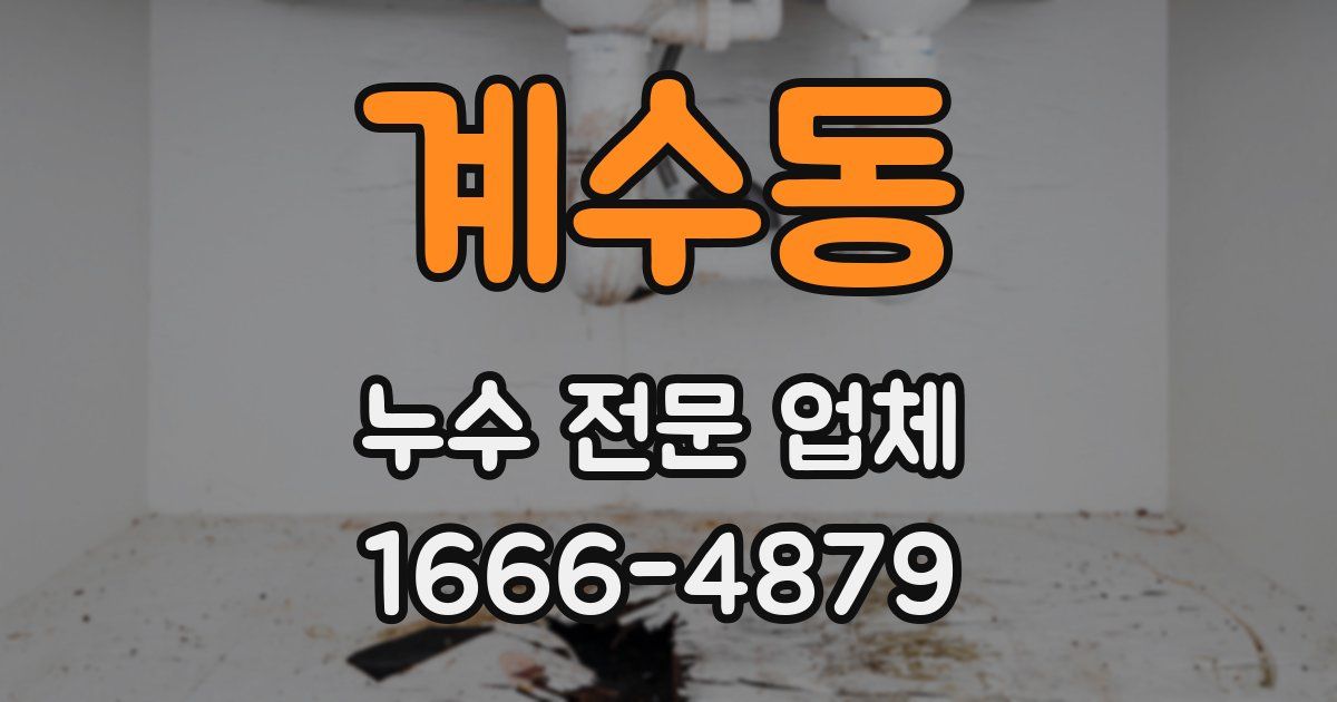 계수동 누수 전문 업체