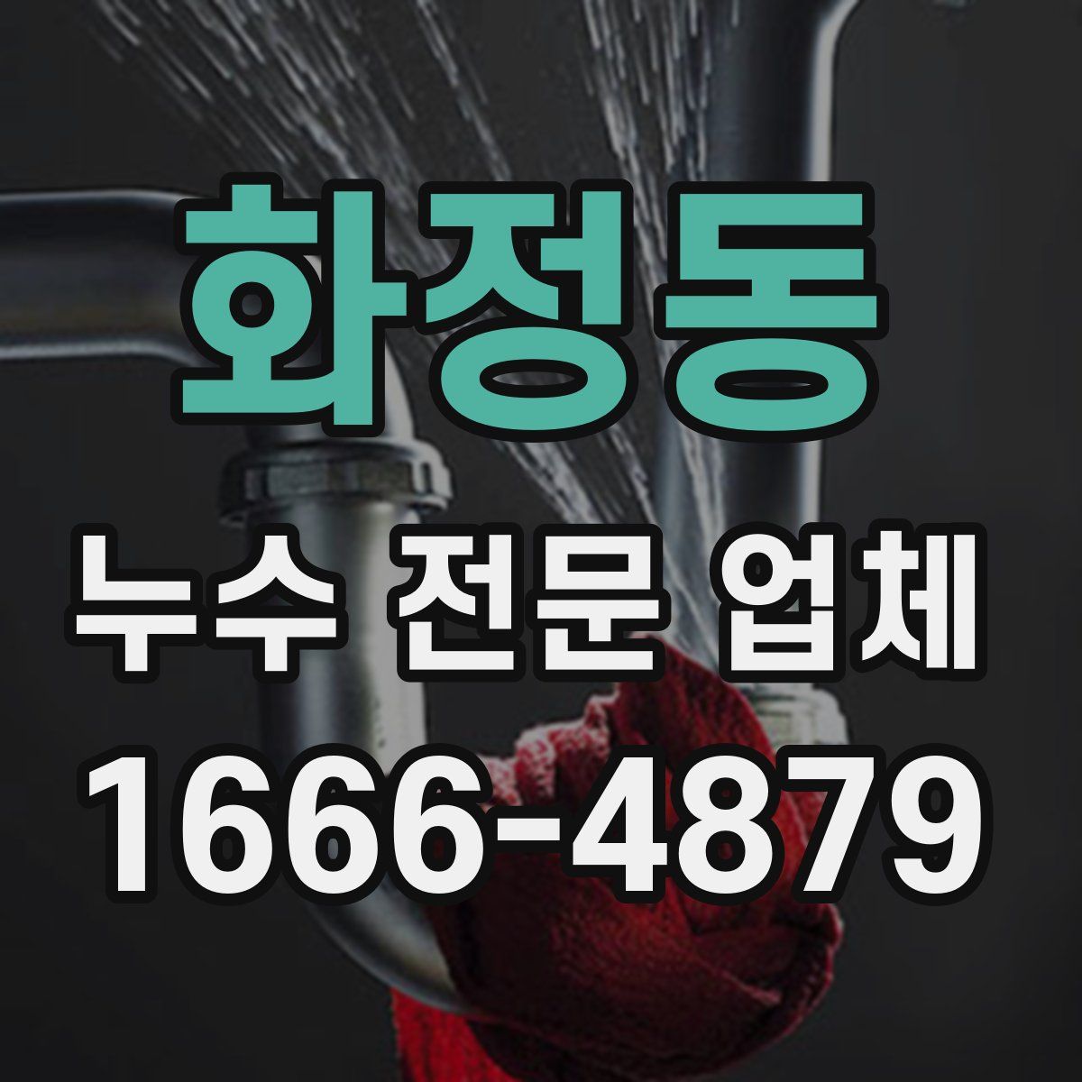 화정동 누수 전문 업체