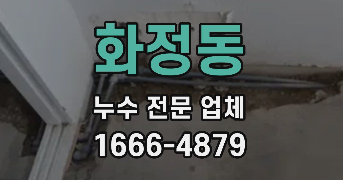 화정동 누수 전문 업체
