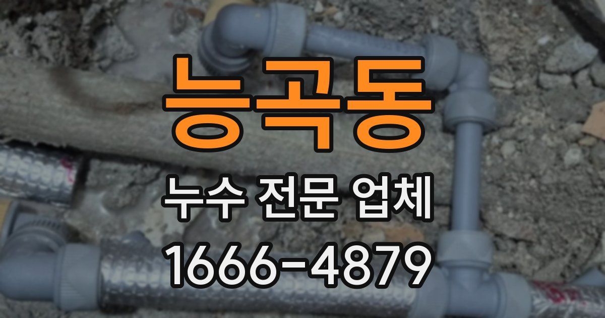 능곡동 누수 전문 업체