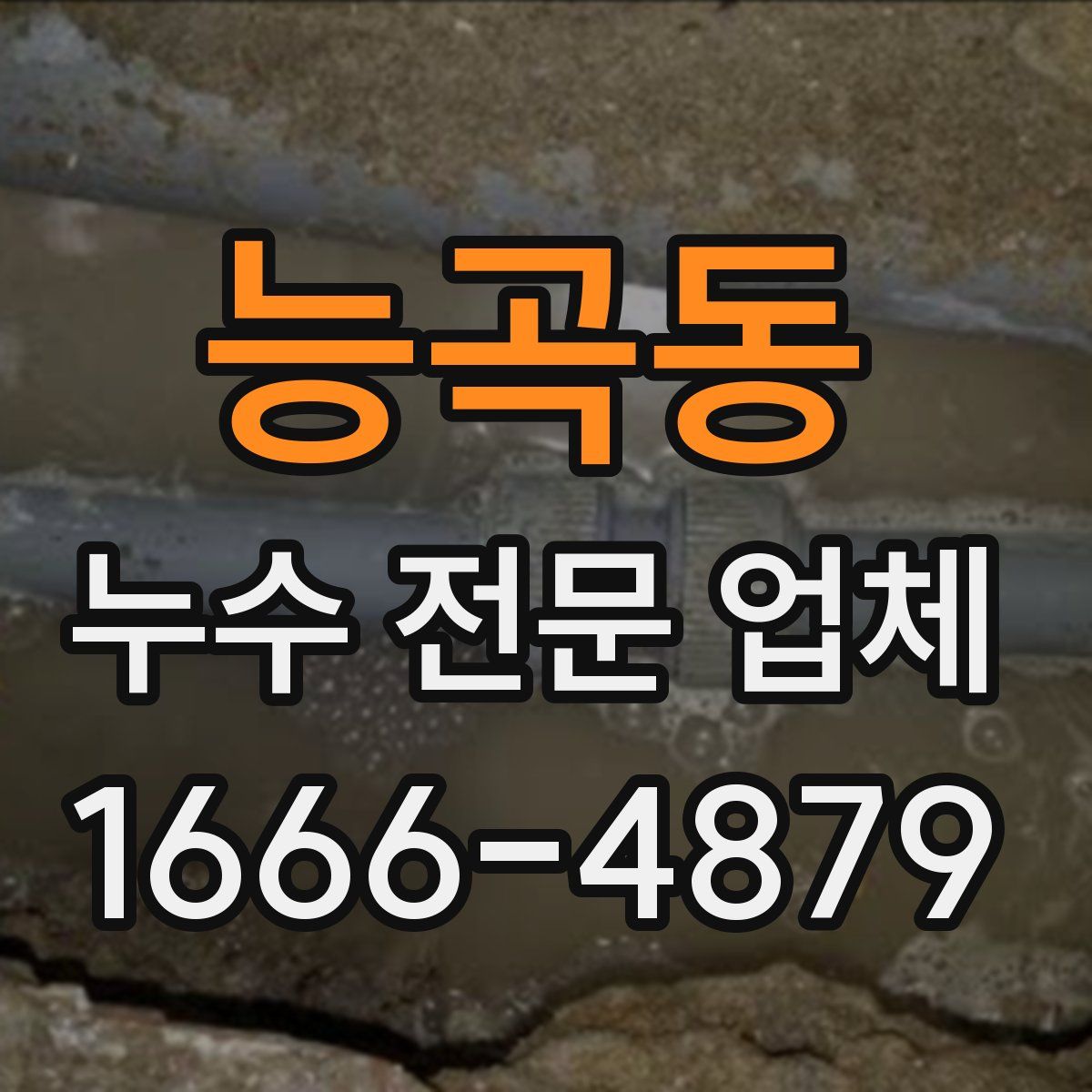 능곡동 누수 전문 업체