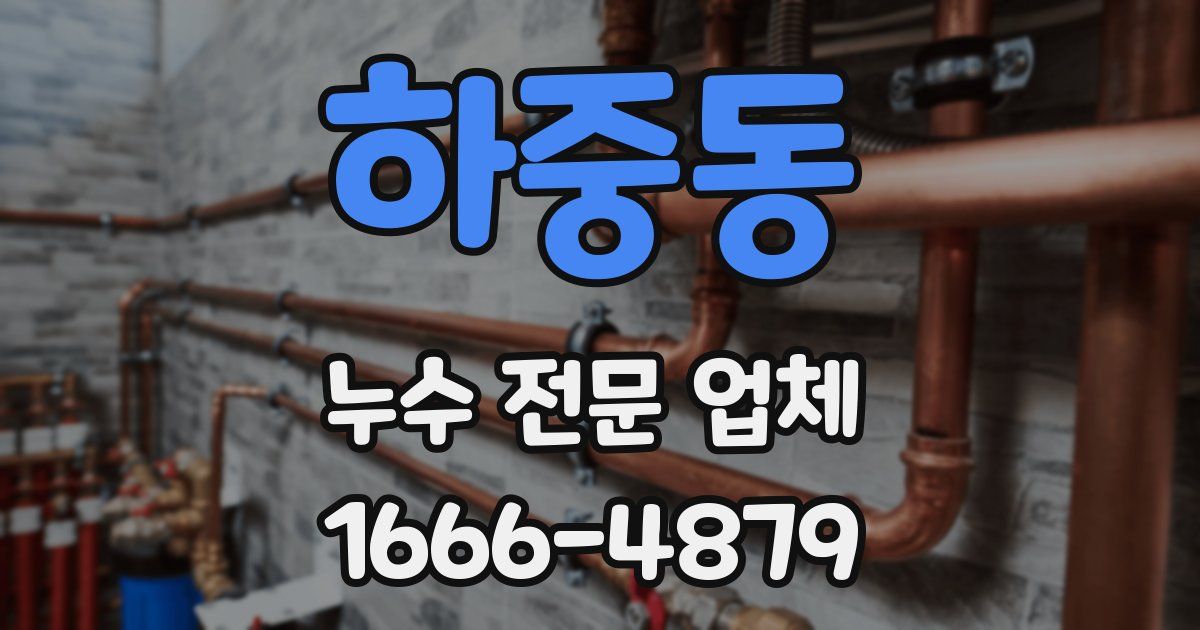 하중동 누수 전문 업체