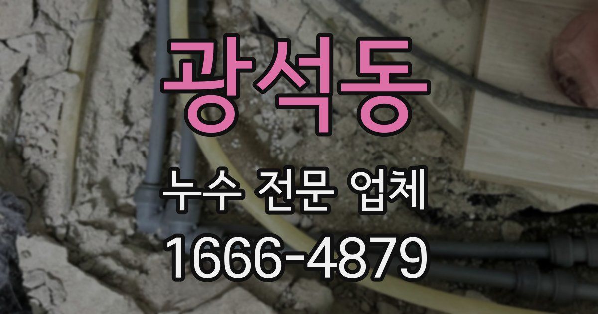 광석동 누수 전문 업체