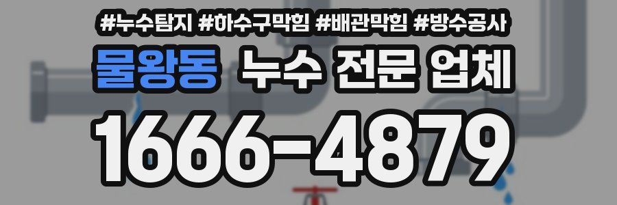 물왕동 누수 전문 업체