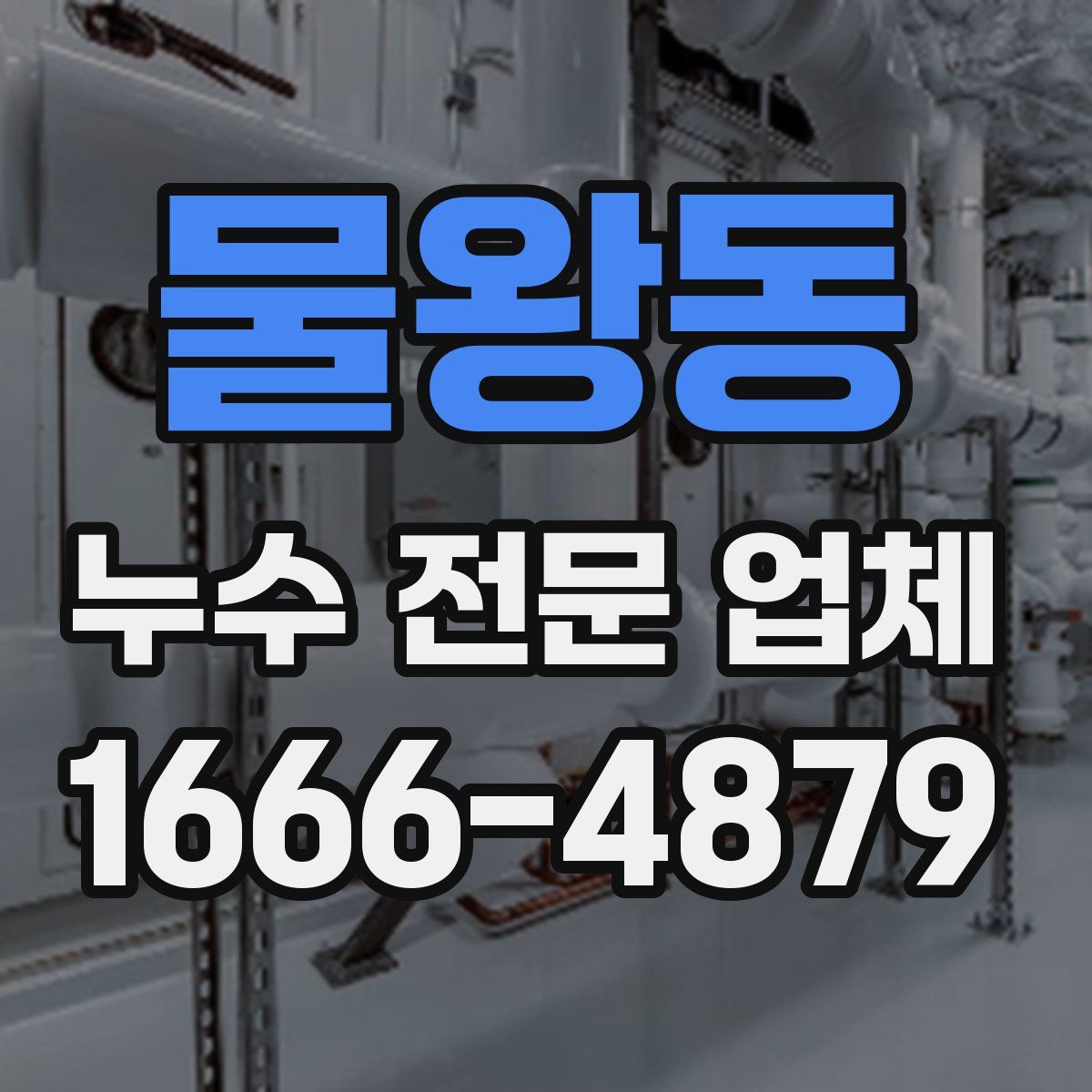 물왕동 누수 전문 업체