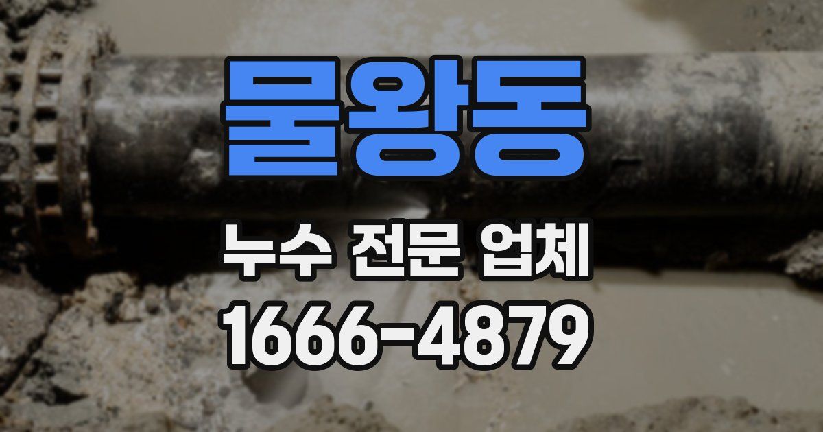 물왕동 누수 전문 업체
