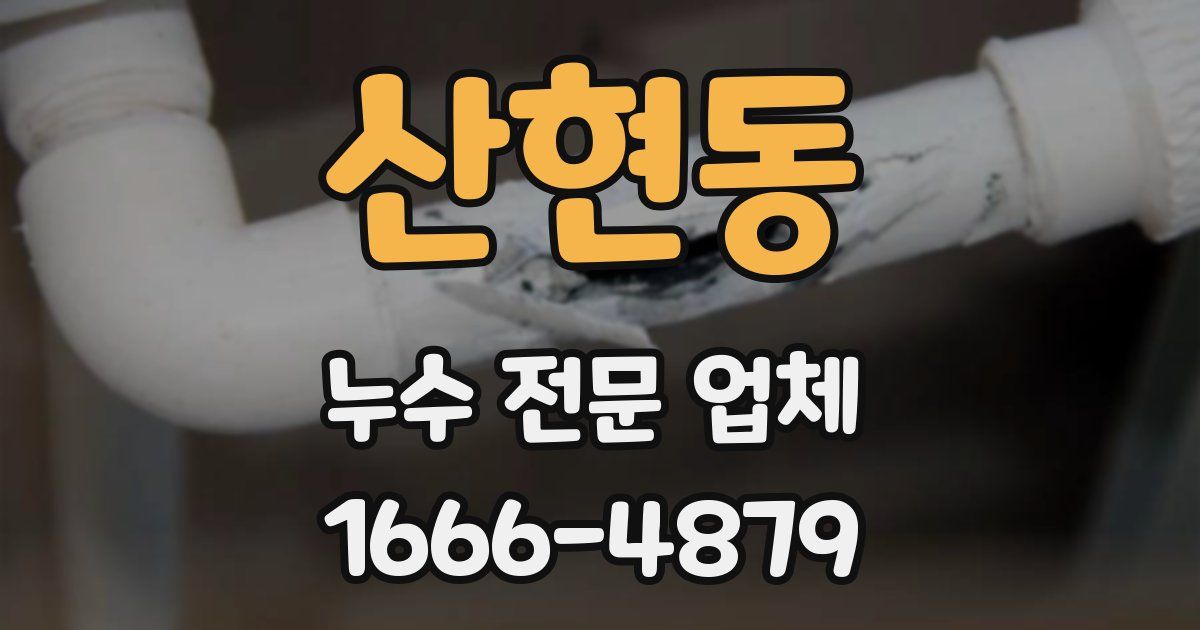 산현동 누수 전문 업체