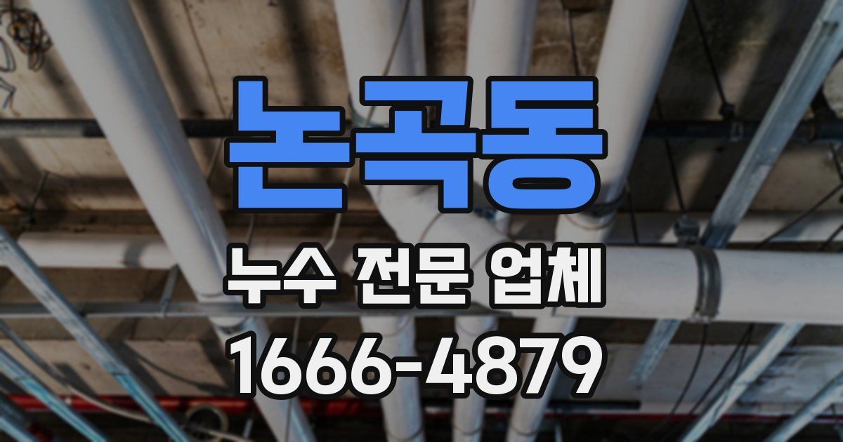 논곡동 누수 전문 업체