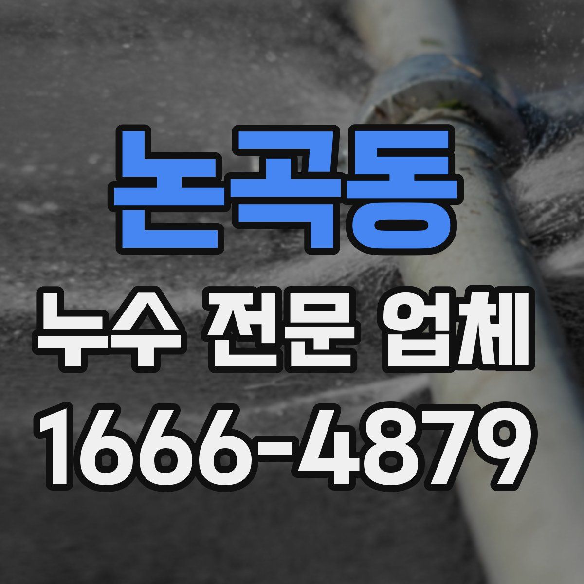 논곡동 누수 전문 업체