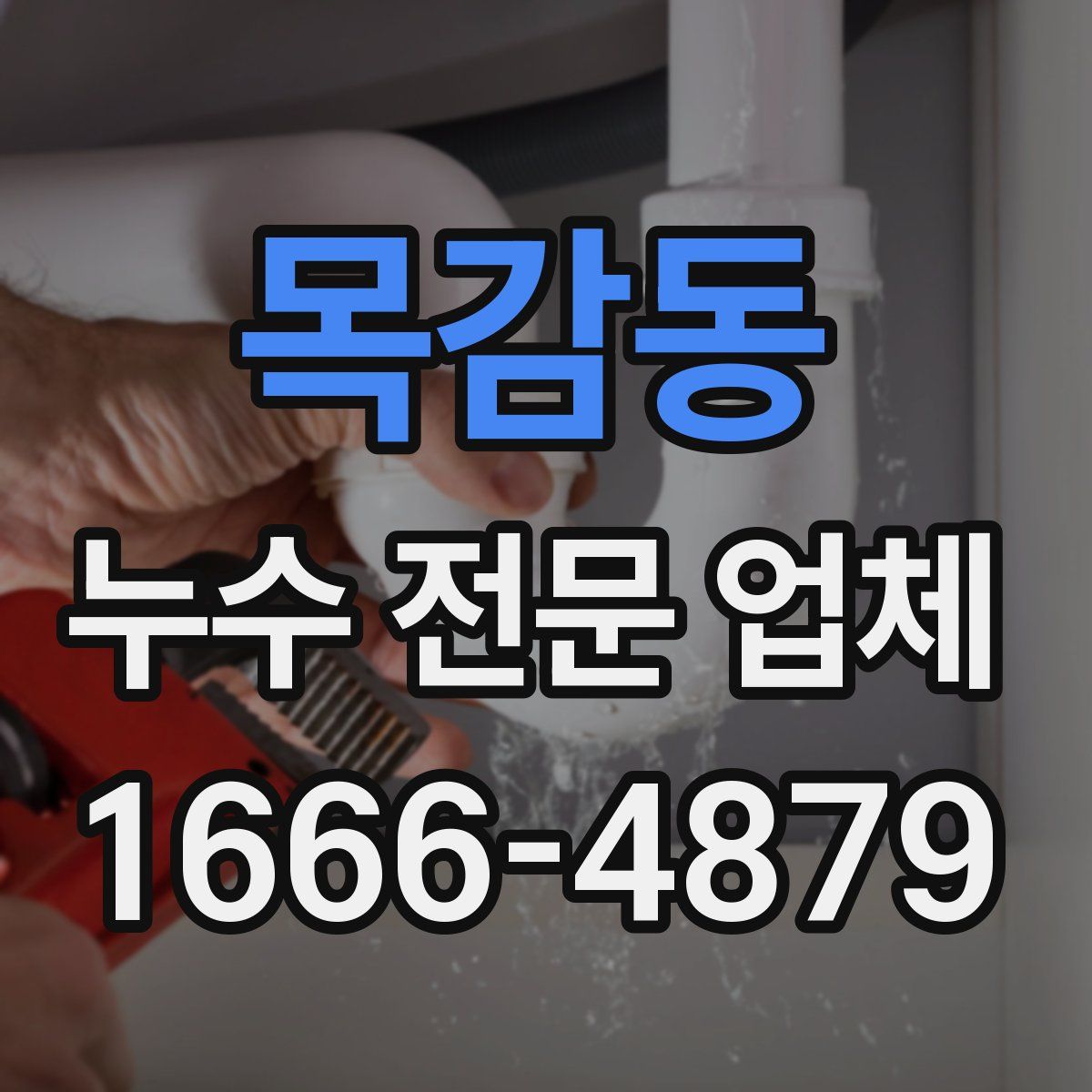 목감동 누수 전문 업체