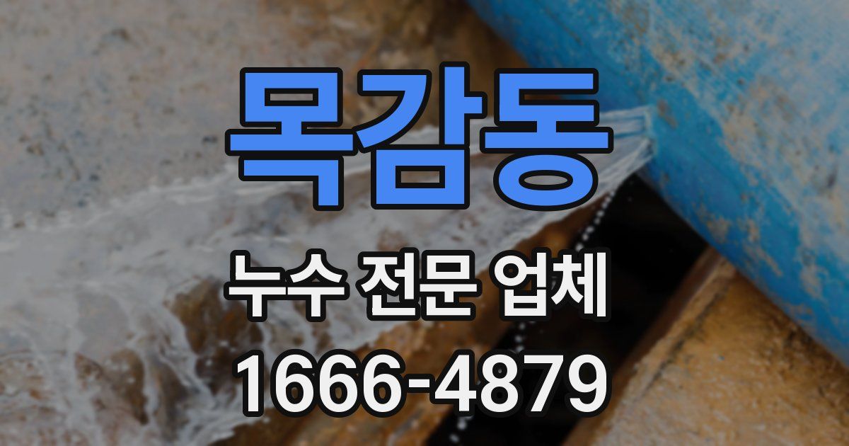 목감동 누수 전문 업체