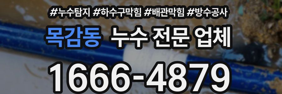 목감동 누수 전문 업체