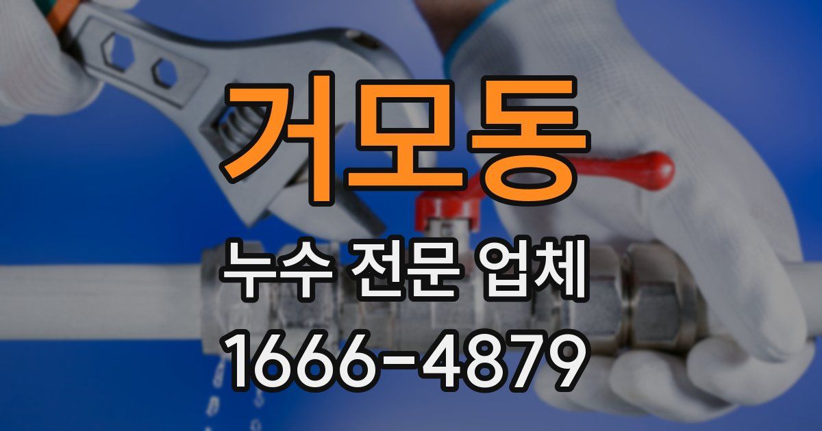 거모동 누수 전문 업체