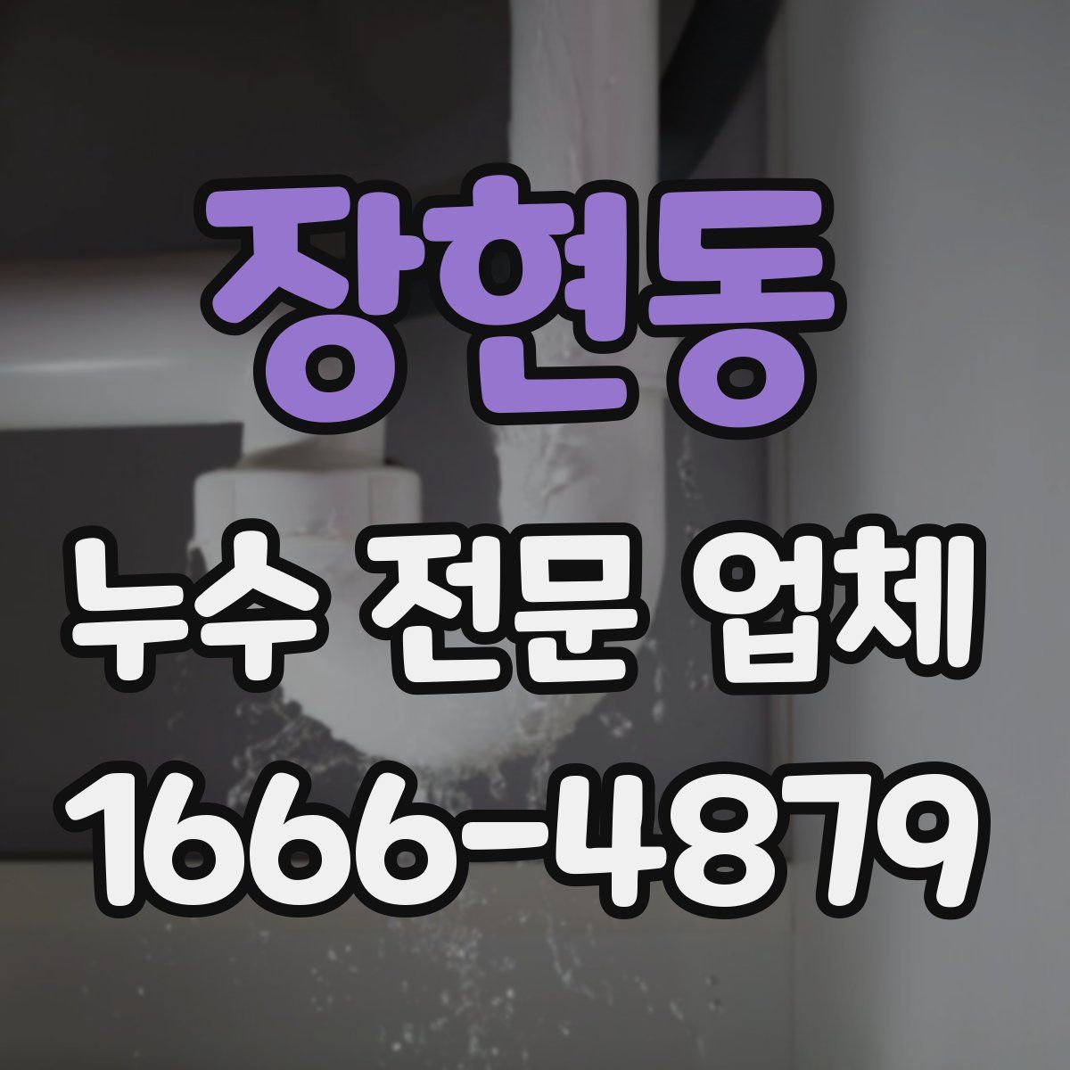 장현동 누수 전문 업체