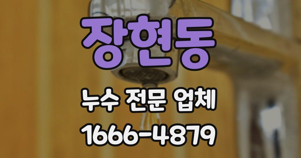 장현동 누수 전문 업체