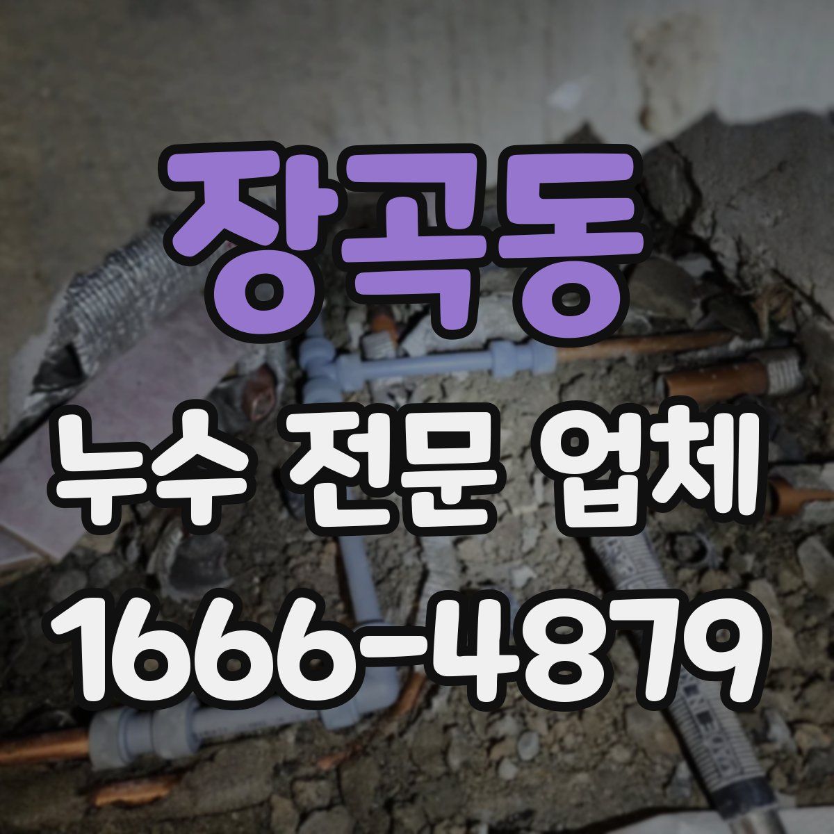 장곡동 누수 전문 업체